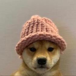 Koupit Dog Wif Hat Koupit Dog Wif Hat